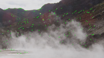 Visualize Stabilization motion tracks