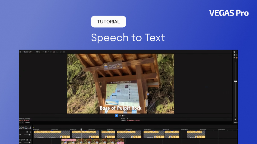 Speech to Text Software: Vorteile und Anwendungsbeispiele 