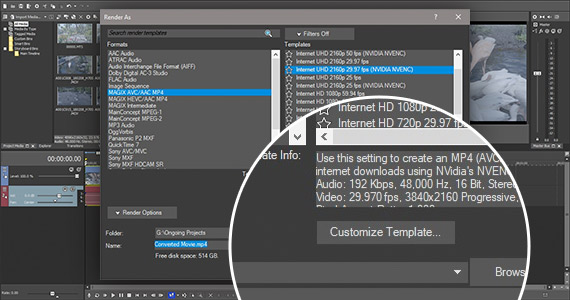 Step 2: Choose Your Render Format Properties