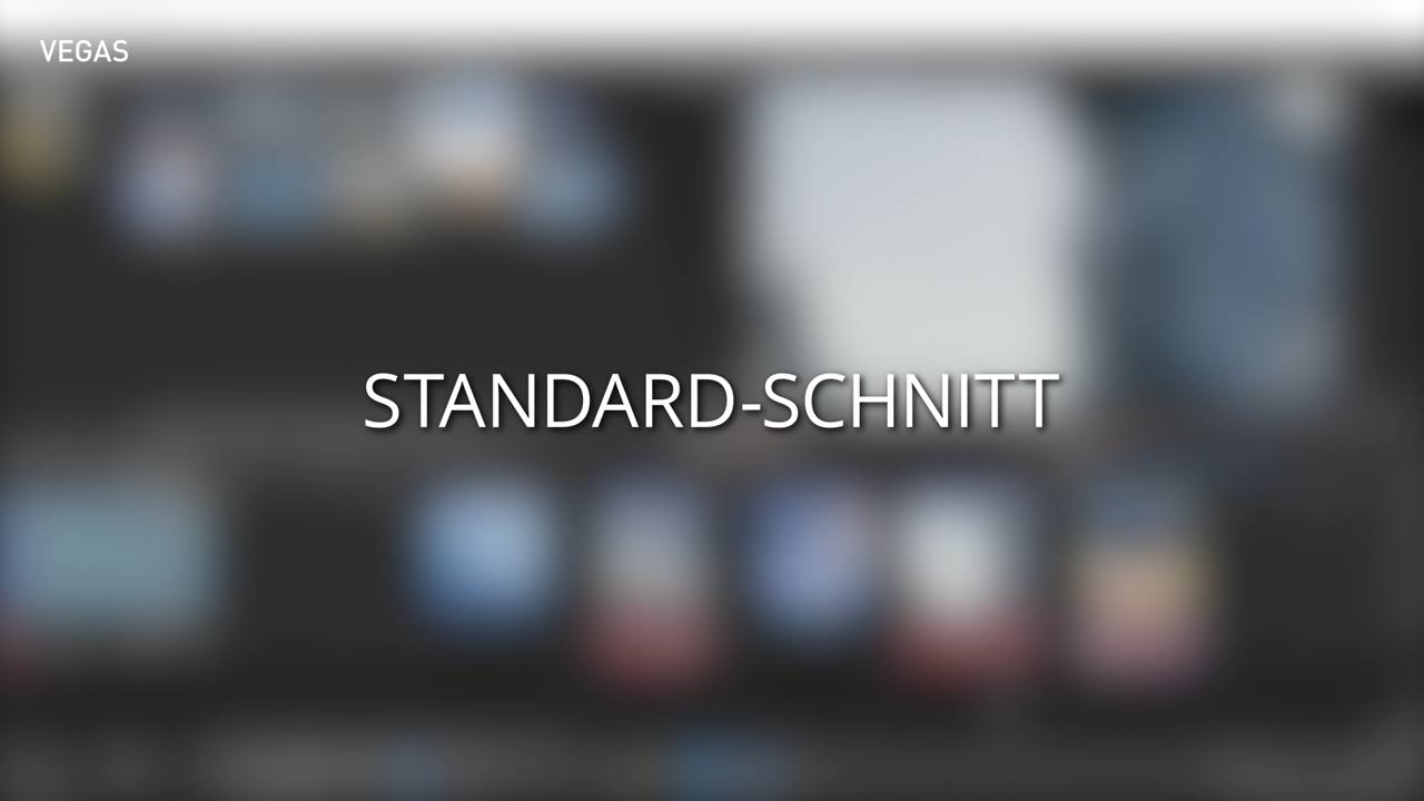 Standard-Schnitt