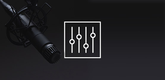 Black microphone for perfect audio