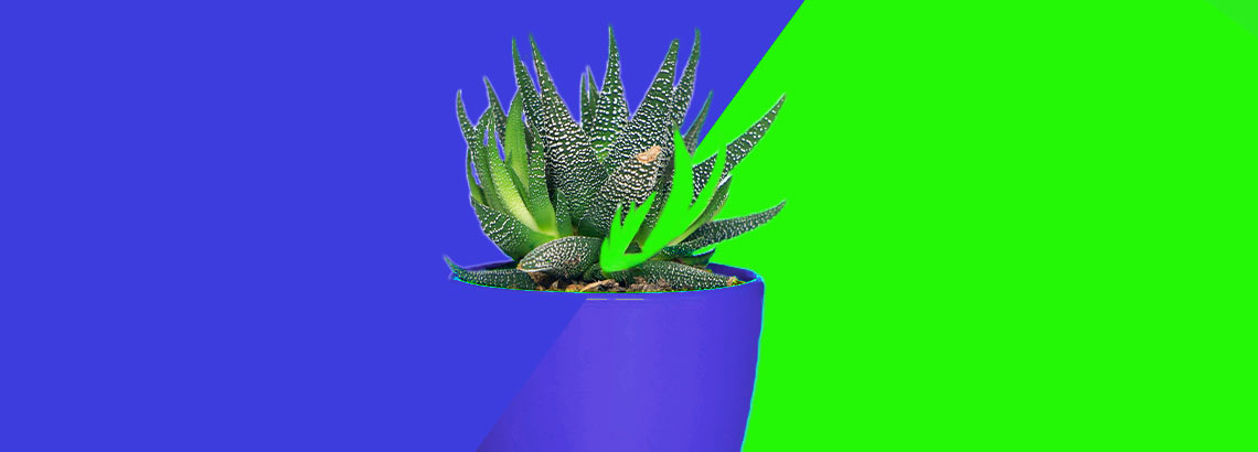 The Ultimate Guide To Chroma Key And Green Screen To make background removal easier when editing, keep the background evenly lit. chroma key and green screen