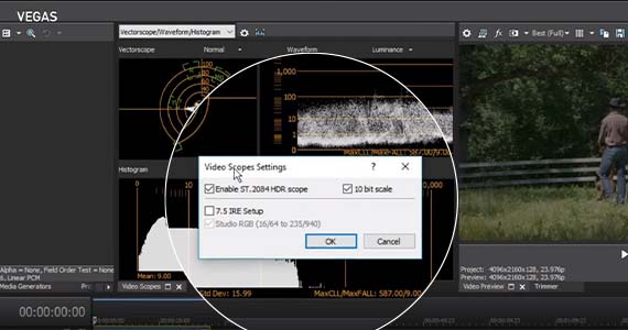 Schritt 5: Video Scopes