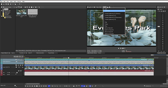 stop log in sony vegas pro 9 stop log in sony vegas pro 9