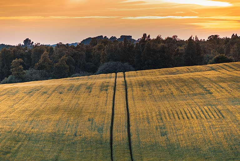 How to Rotate or Flip a Video 90 or 180 Degrees in Seconds