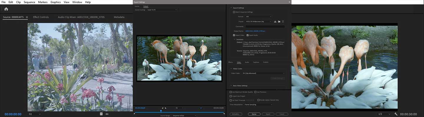 adobe premiere pro vs adobe premiere rush adobe premiere pro vs adobe premiere rush