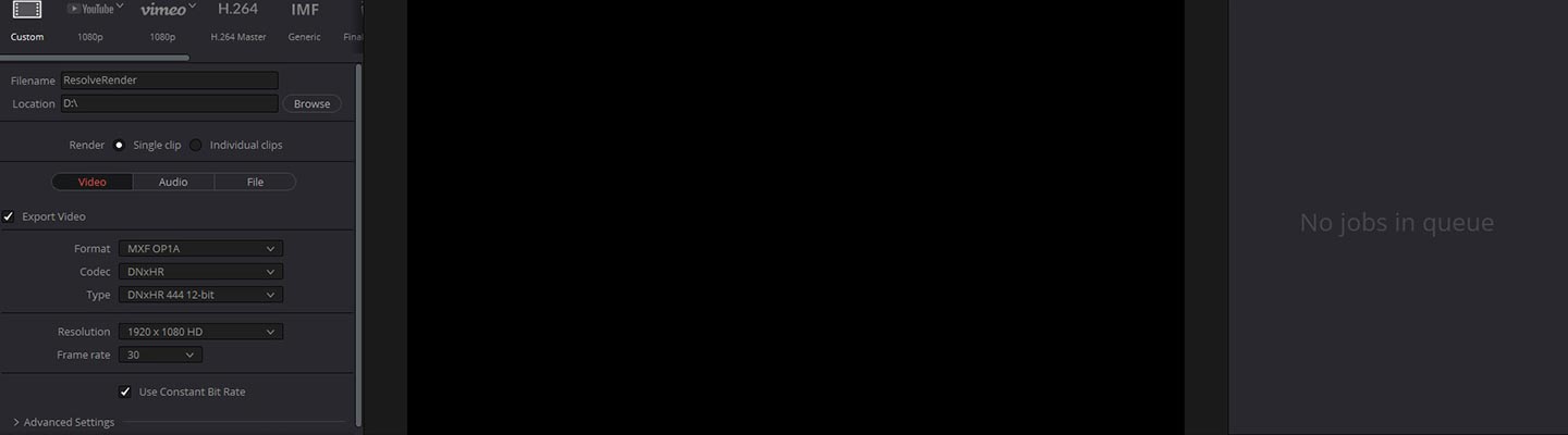 what file types does davinci resolve support what file types does davinci resolve support