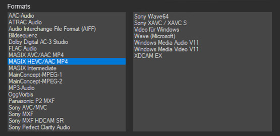 Media pool of different video clips where the format extensions
